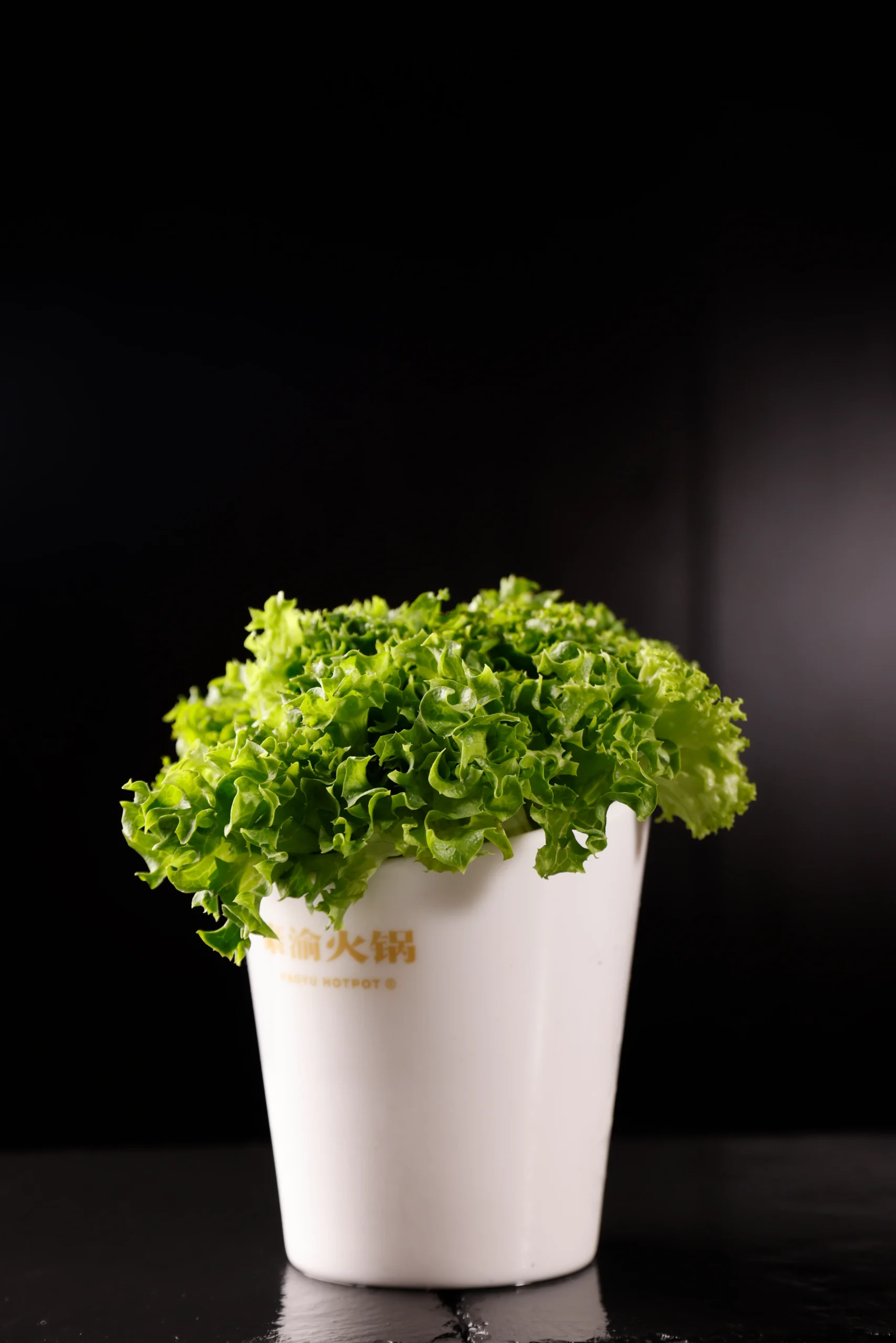 生菜lettuce16AED-转换自-JPG-scaled